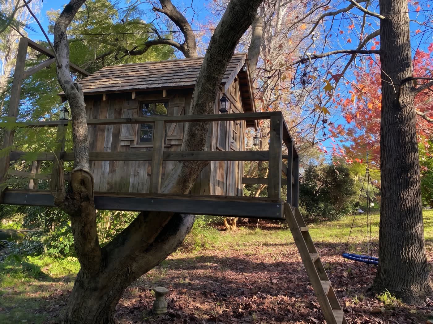 tree house - Mosman — unique building by HAWK Projects